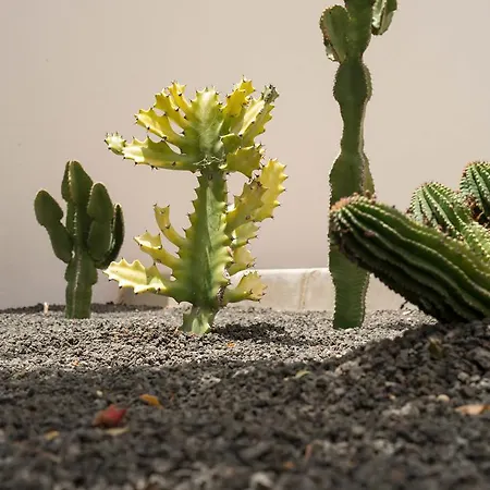 Вилла Villas Salinas Коста-Тегисе