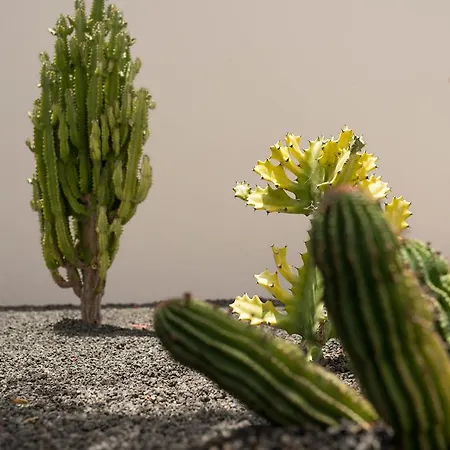 Villas Salinas * Коста-Тегисе