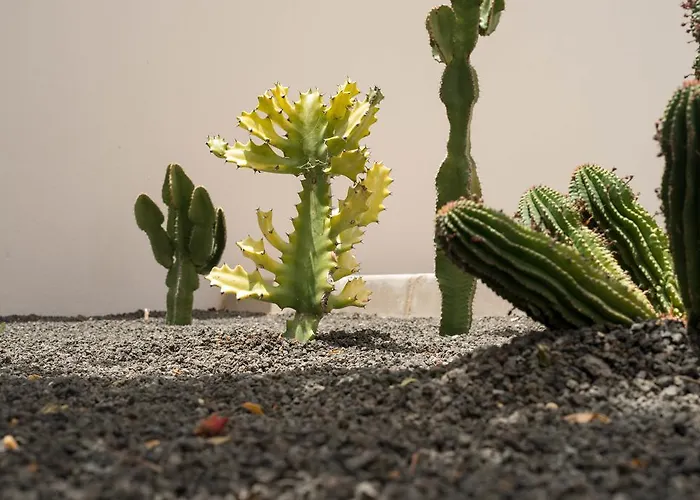 Villa Villas Salinas Costa Teguise