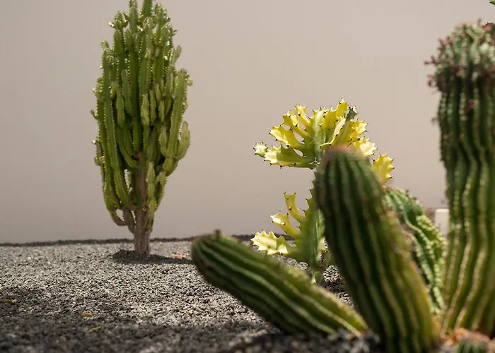 Villas Salinas * Costa Teguise